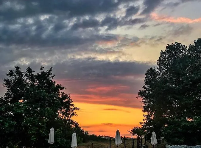 Kamenec Budget Nesebar